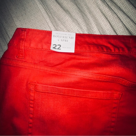 nwt lane bryant pants - Picture 4 of 6